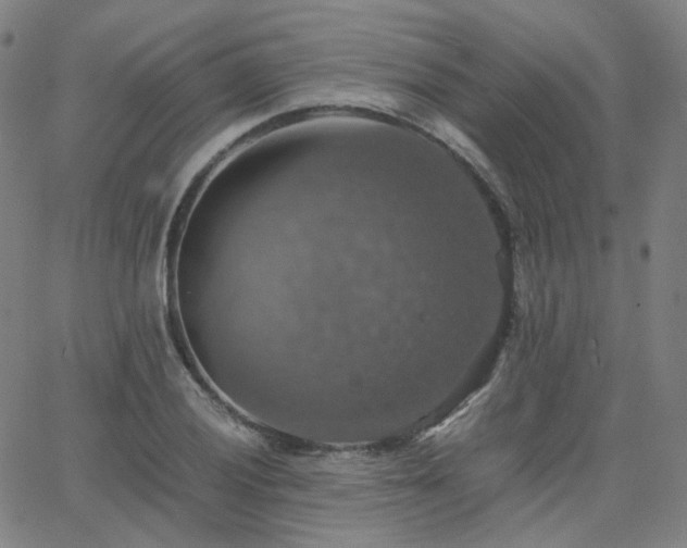 X0000063461028200601201240