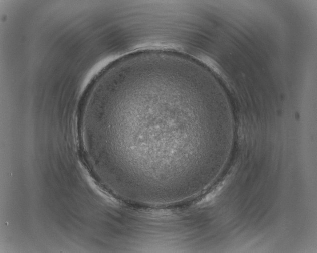 X0000063461030200601201240