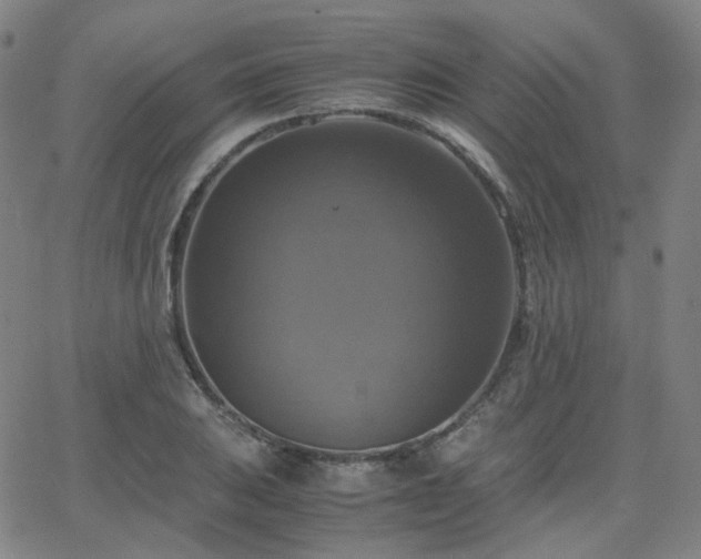 X0000063461031200601201240