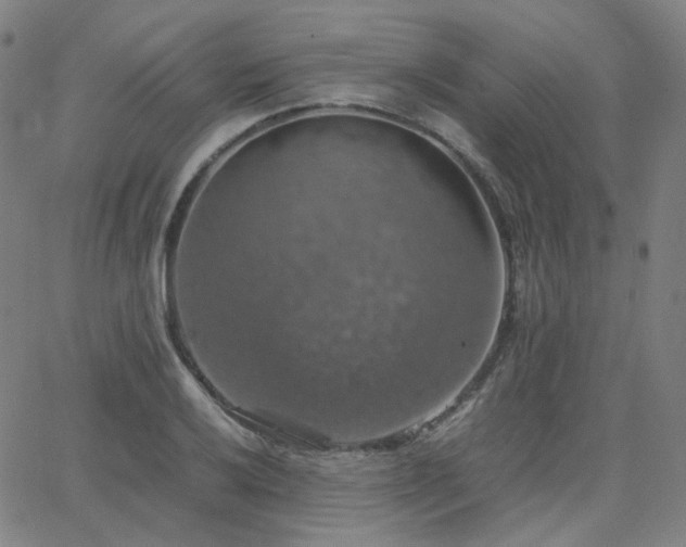 X0000063461032200601201240