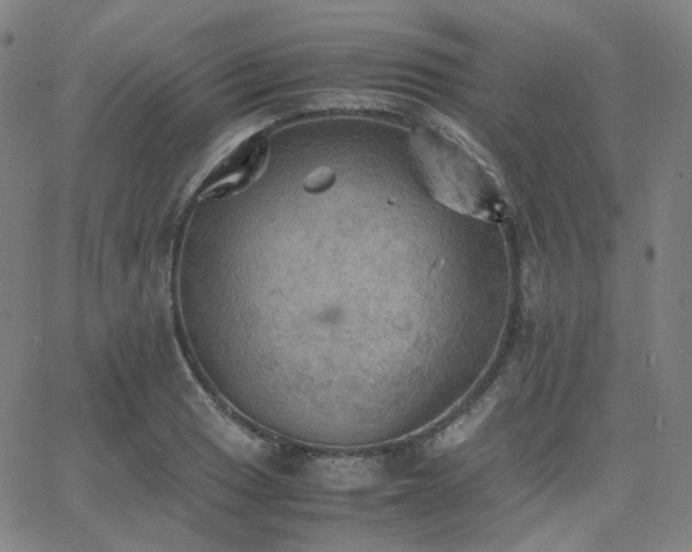 X0000063461033200601201240