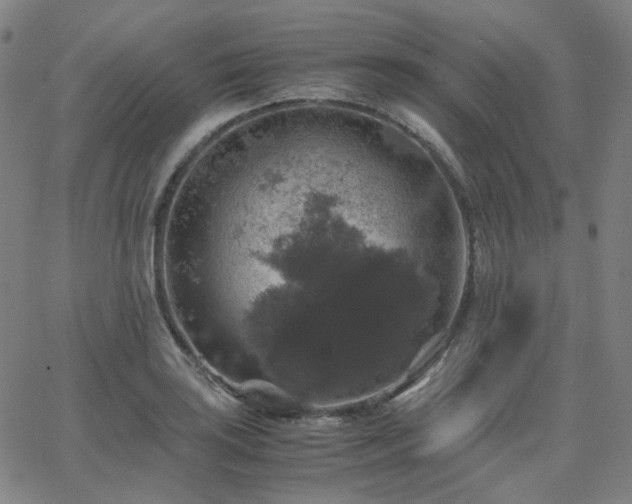 X0000063461035200601201240