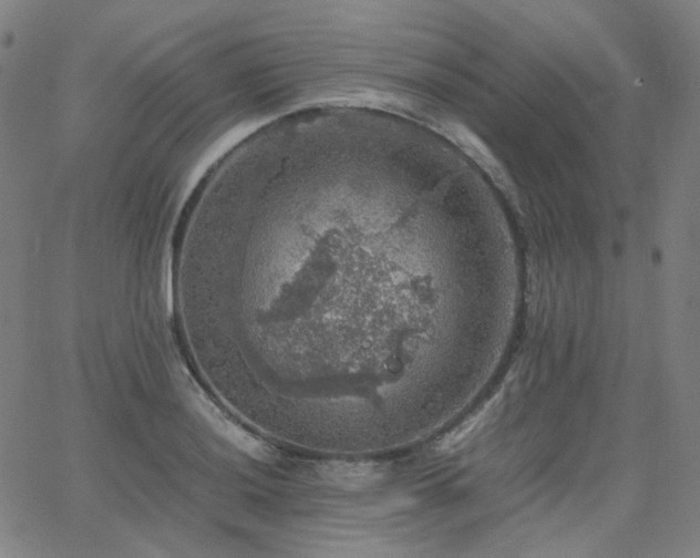 X0000063461036200601201240