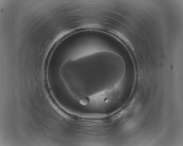 X0000063461037200601201240