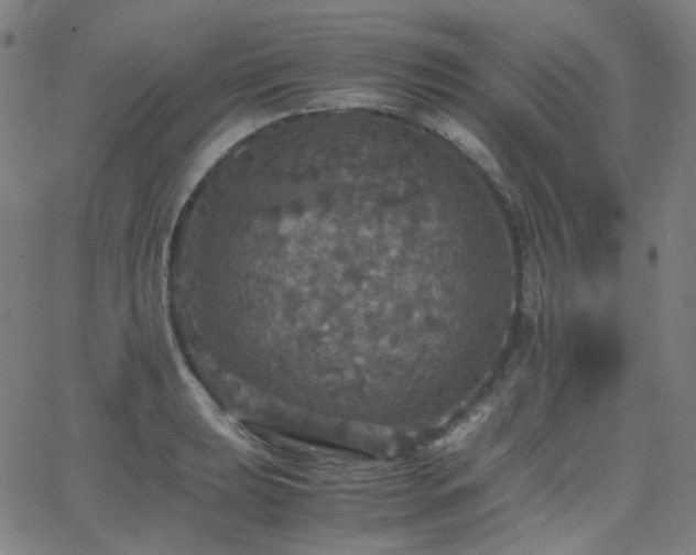 X0000063461039200601201241