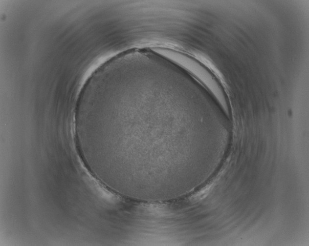 X0000063461040200601201241