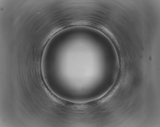 X0000063461041200601201241