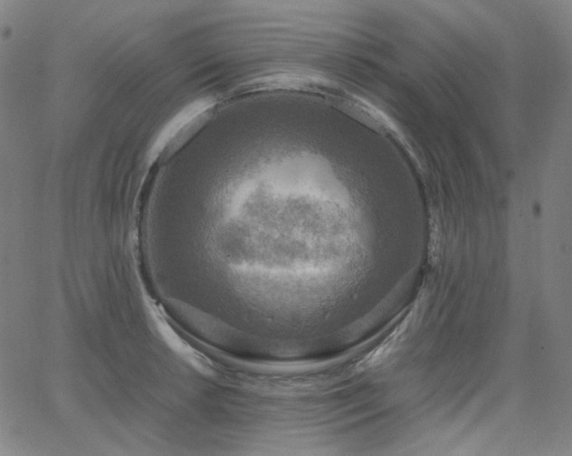 X0000063461042200601201241