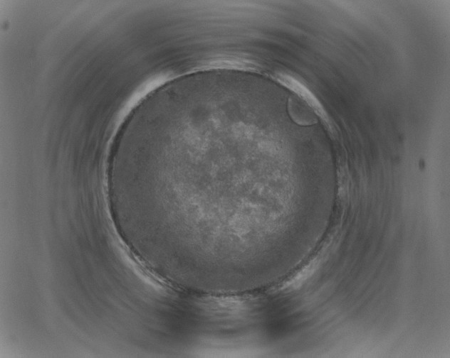 X0000063461043200601201241