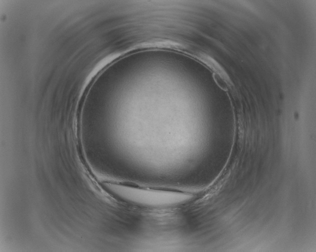 X0000063461044200601201241