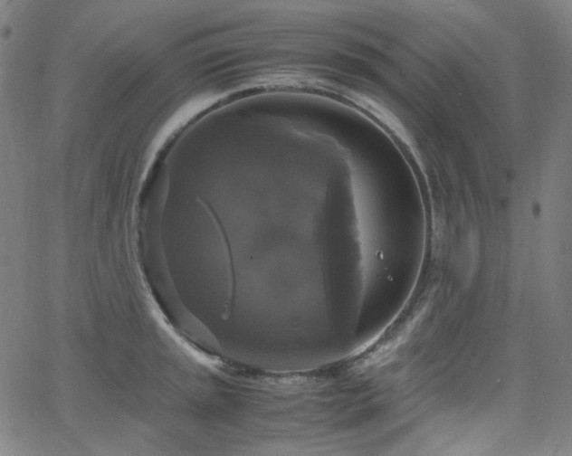 X0000063461045200601201241