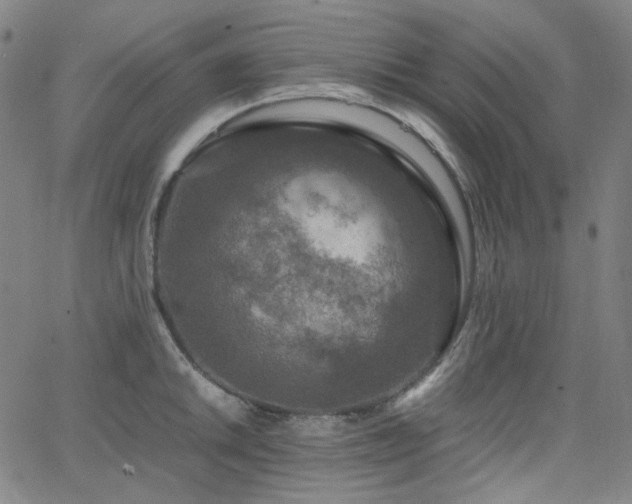 X0000063461046200601201241