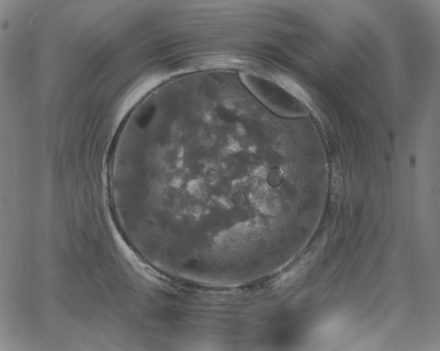 X0000063461047200601201241