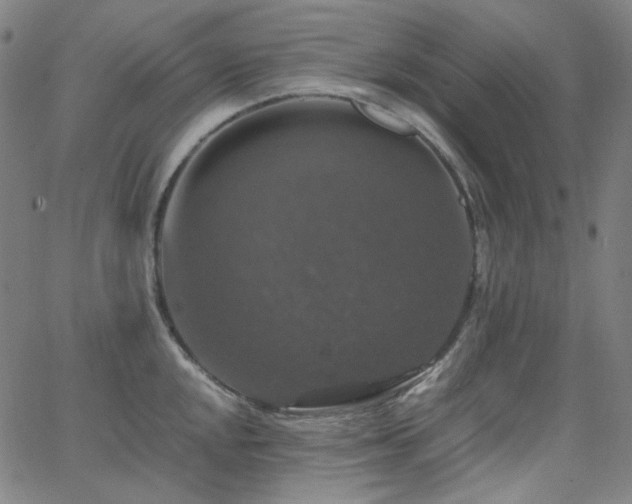 X0000063461048200601201241