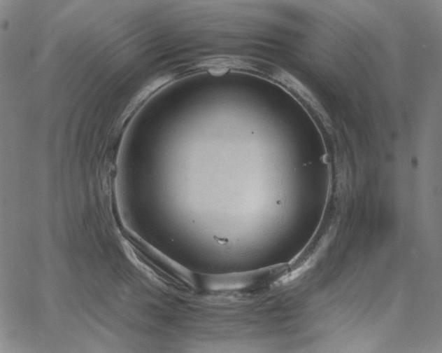 X0000063461049200601201241