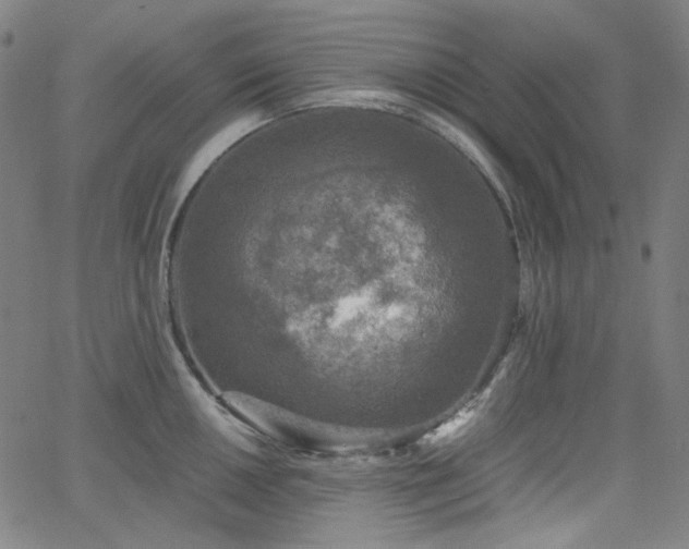 X0000063461050200601201241