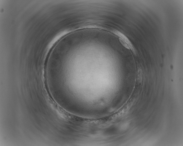 X0000063461051200601201241