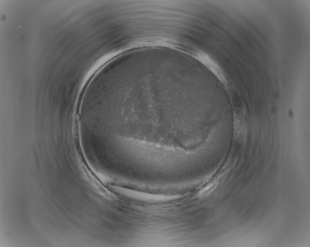 X0000063461052200601201241