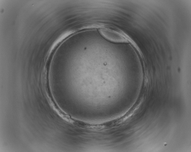 X0000063461053200601201241