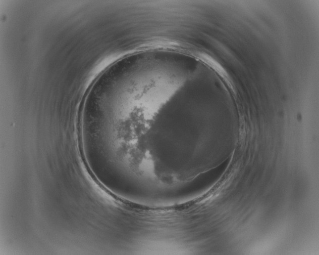 X0000063461055200601201241