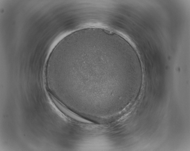 X0000063461056200601201241