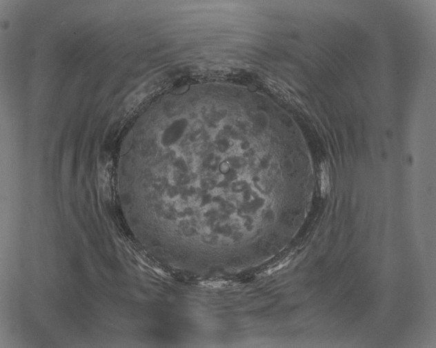 X0000063461059200601201240