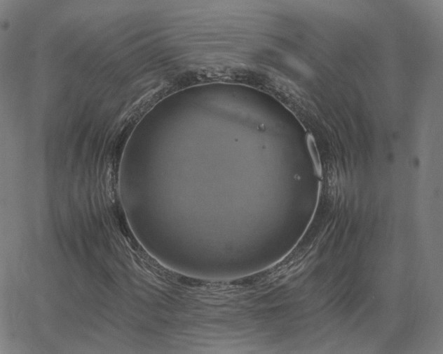 X0000063461060200601201240