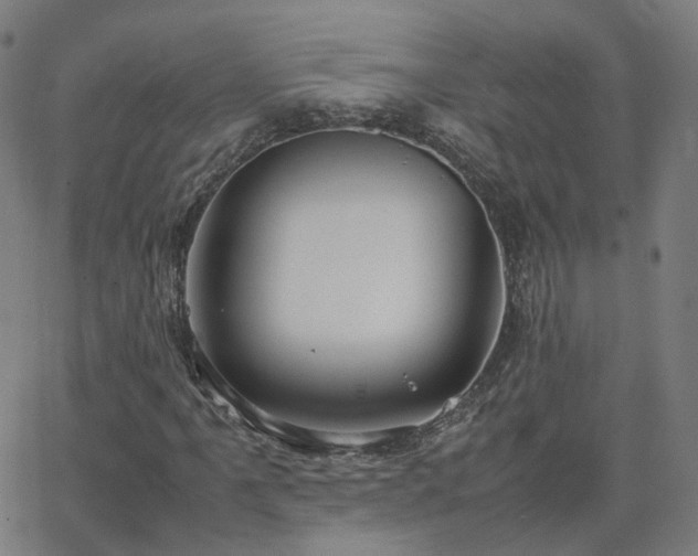 X0000063461061200601201240