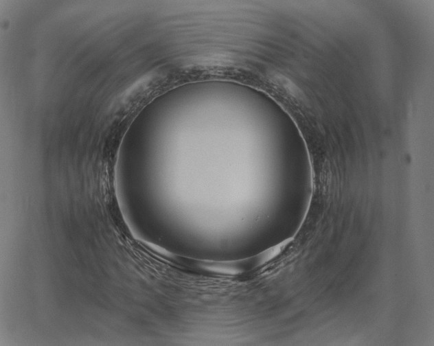 X0000063461062200601201240