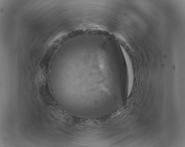 X0000063461063200601201240