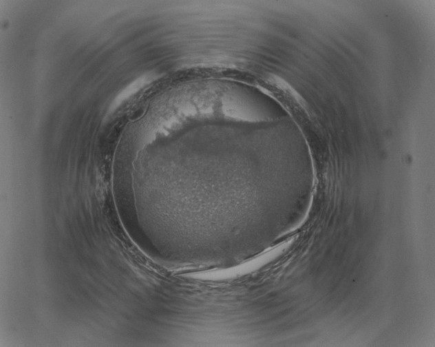 X0000063461064200601201240