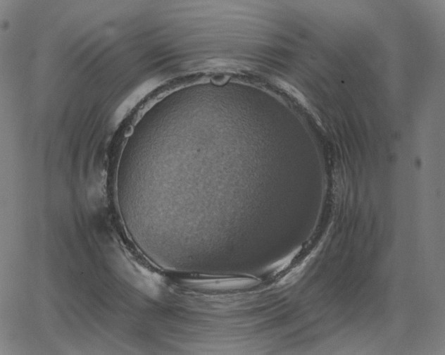 X0000063461066200601201240