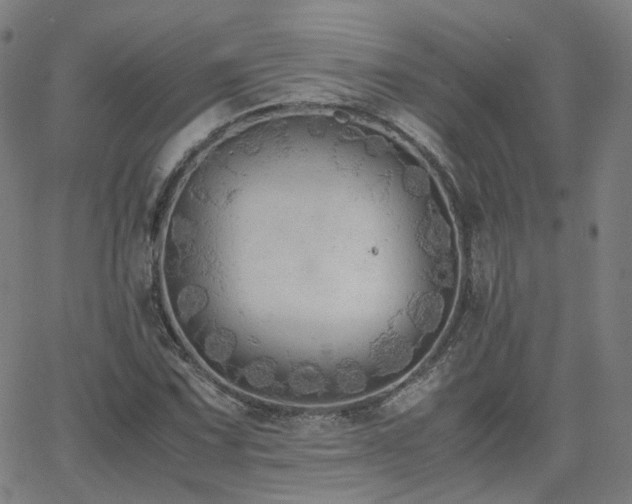 X0000063461067200601201240