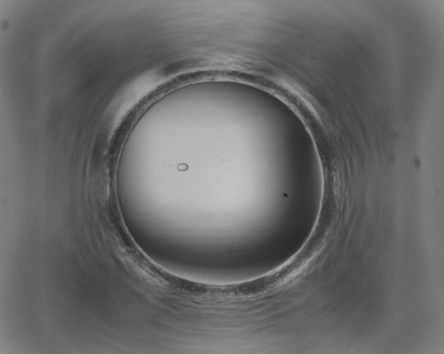 X0000063461069200601201240