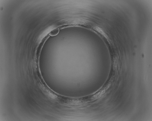 X0000063461071200601201240