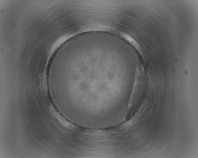 X0000063461072200601201240