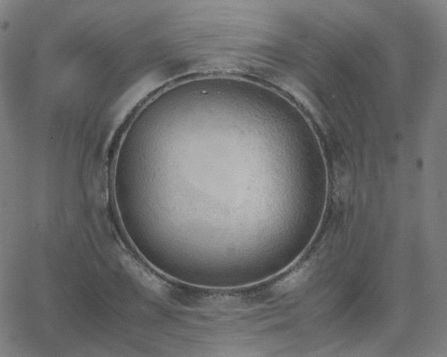 X0000063461075200601201240