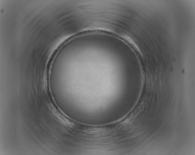 X0000063461076200601201240