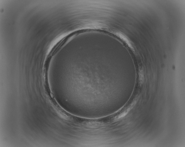 X0000063461077200601201240