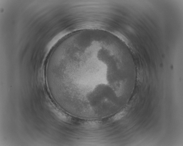 X0000063461078200601201240