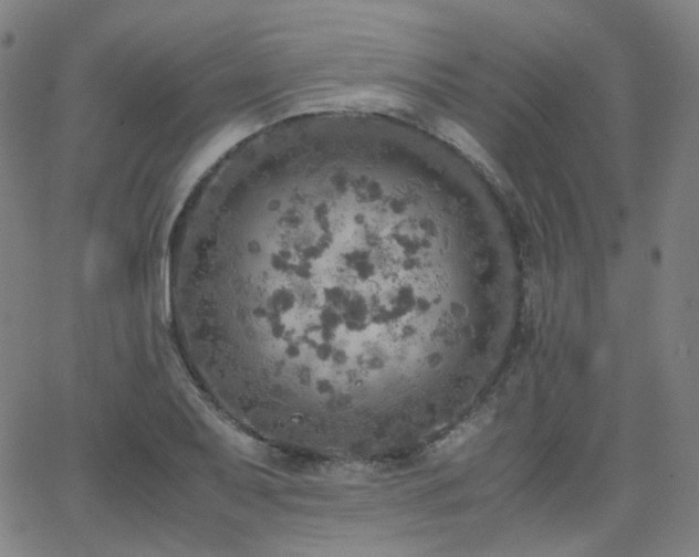 X0000063461079200601201240