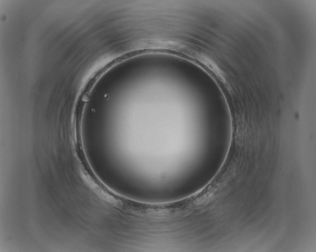 X0000063461080200601201240