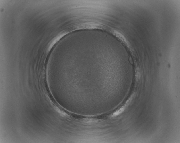 X0000063461081200601201240