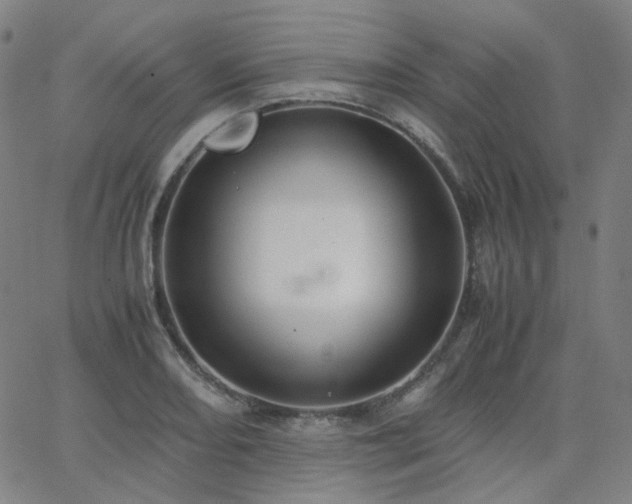 X0000063461082200601201240