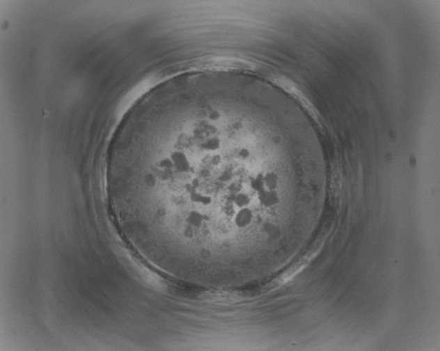 X0000063461083200601201240