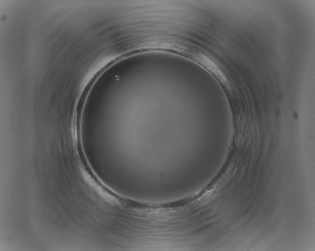 X0000063461084200601201240