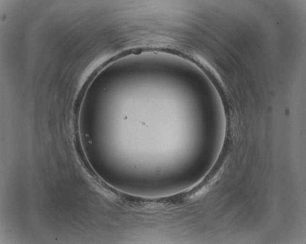 X0000063461085200601201240