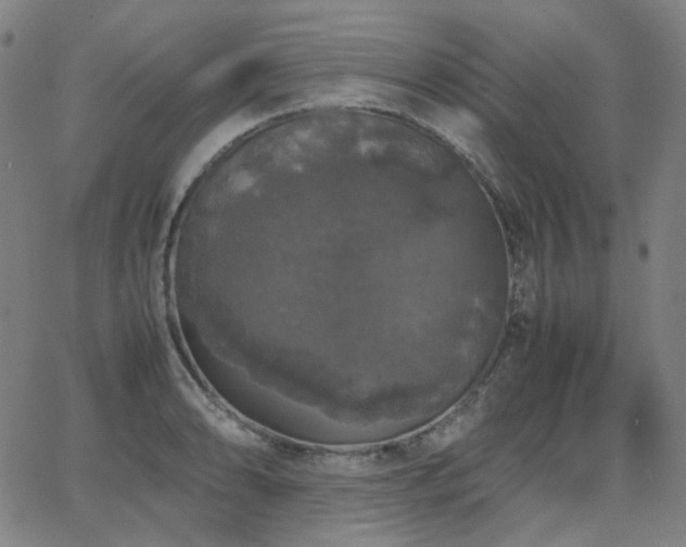 X0000063461086200601201240