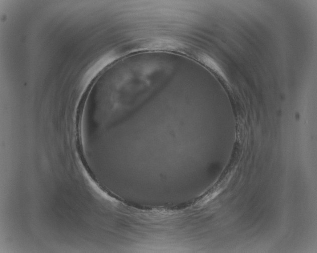 X0000063461087200601201240