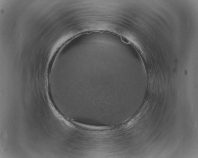 X0000063461088200601201240